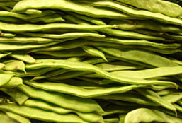 电话验证码轰炸免费