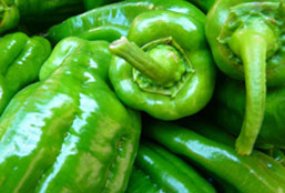 在线手机号平台